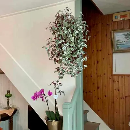 Holiday home Quiet House Near The Old Port - La Rochelle (Charente-Maritime)